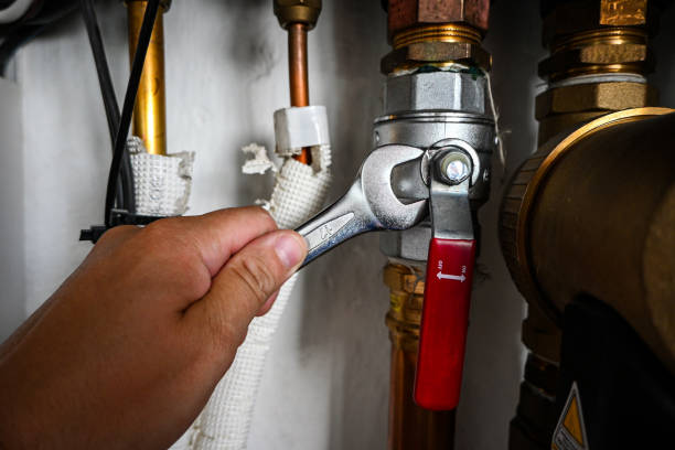 Best Local Plumber Services  in Hawaiian Acres, HI